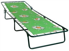Кровать раскладная \"Стефания\" с85а 1920х650х240 до 120 кг